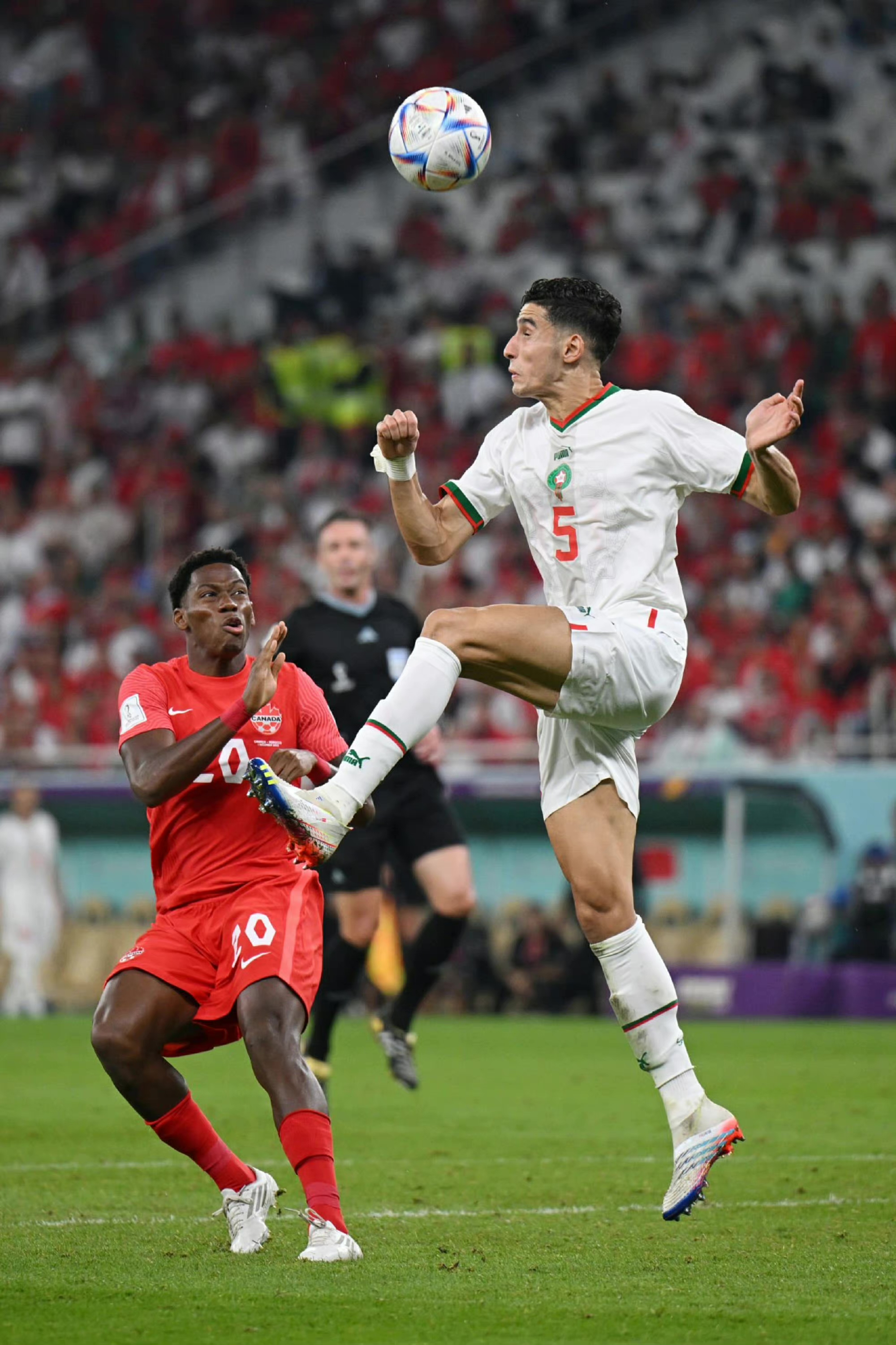 Scout连续三场比赛得分超过晋级下一阶段，加拿大队不断突破！